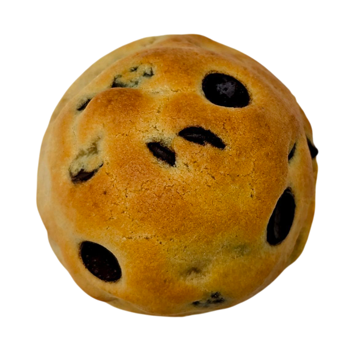 Chocolate Chip