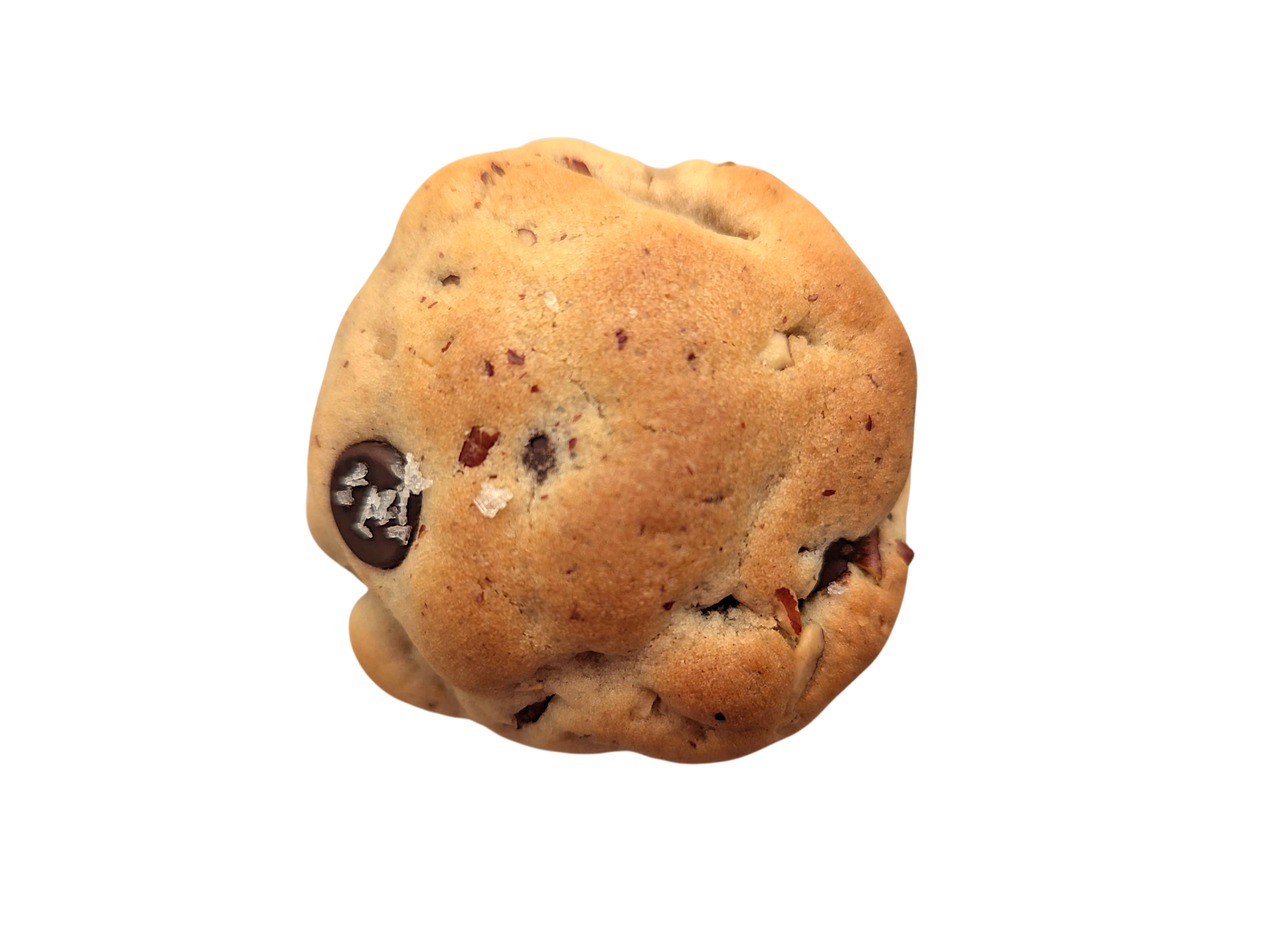 Chocolate Chip Pecan