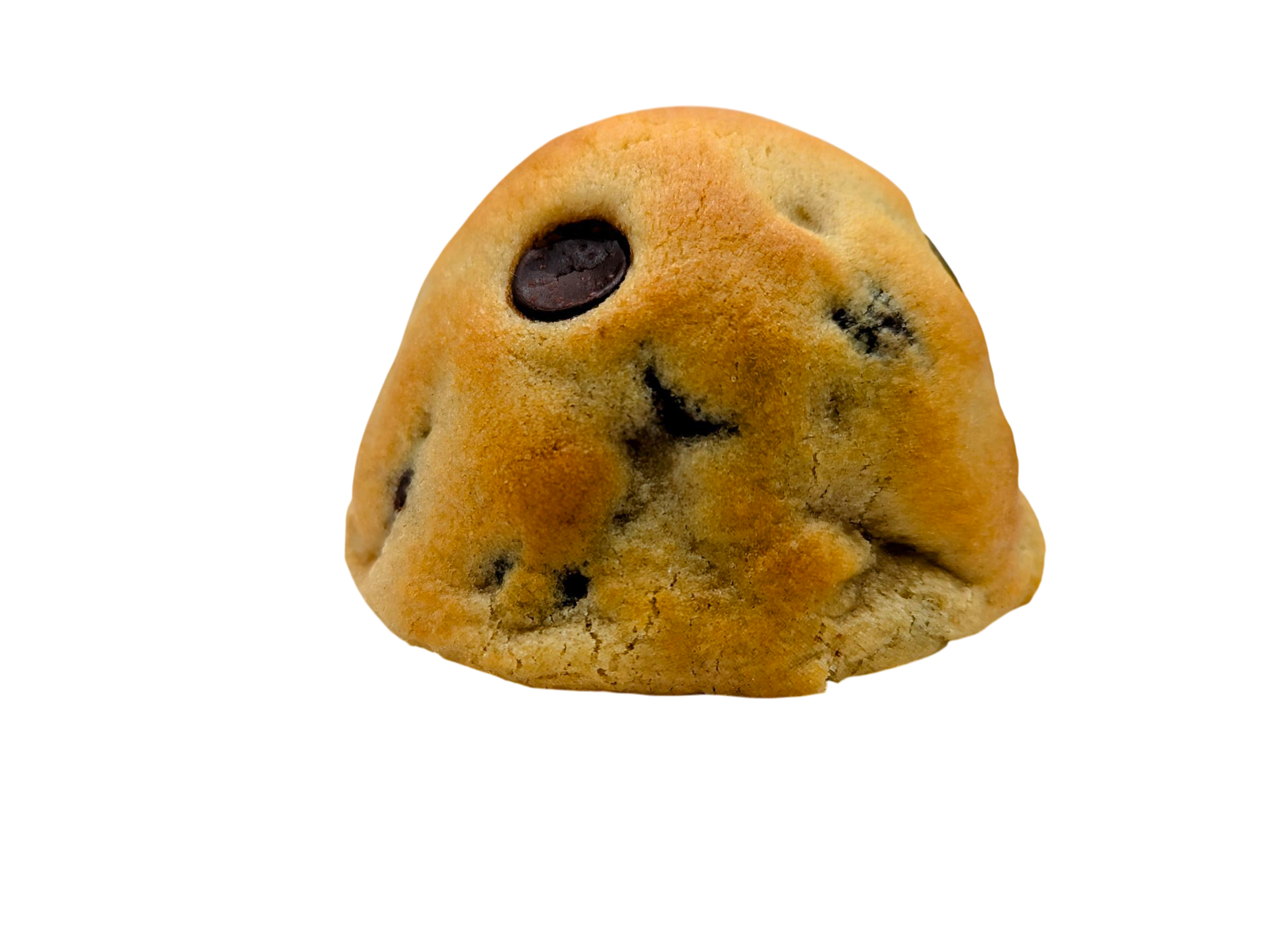 Chocolate Chip