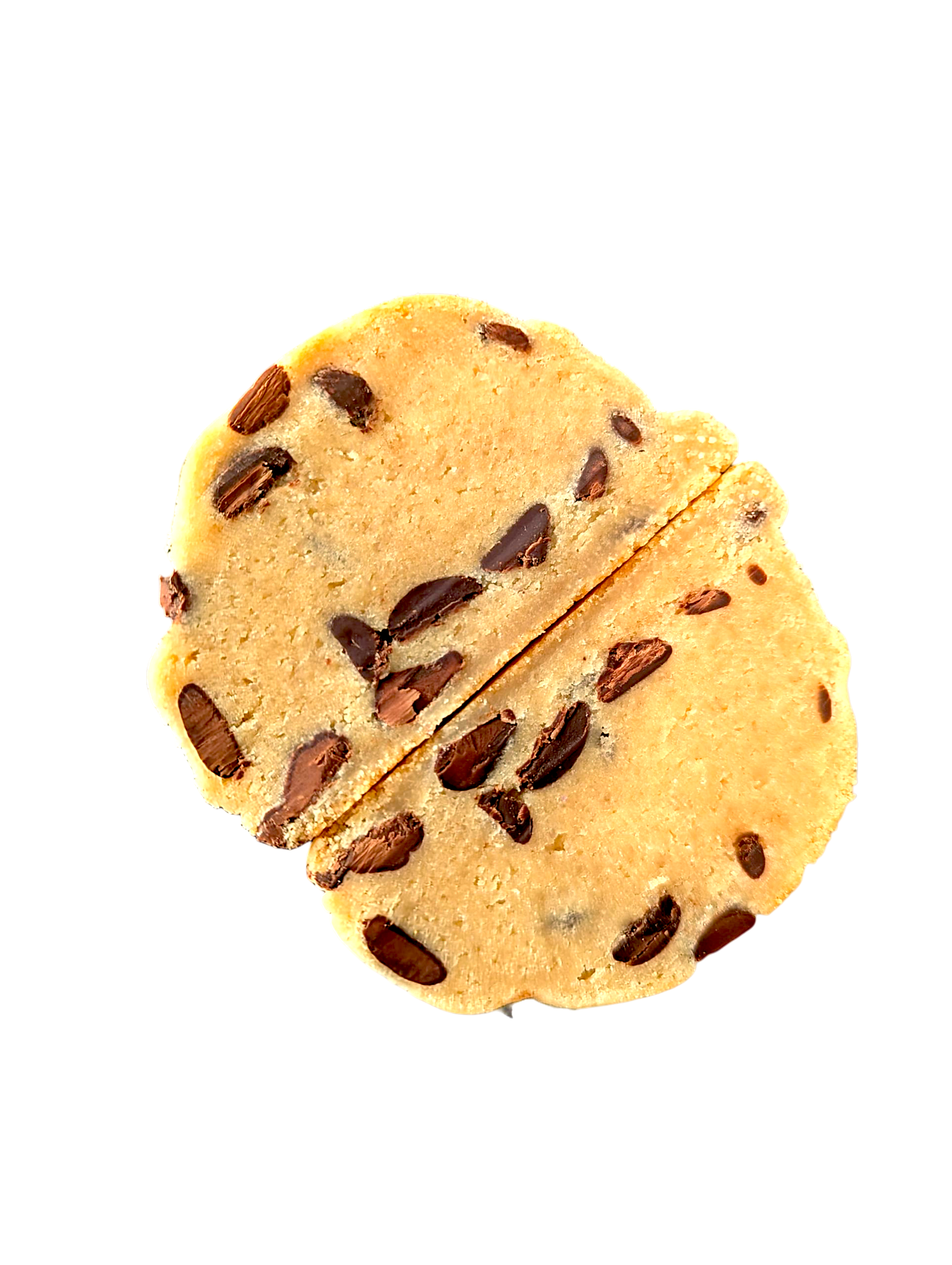 Chocolate Chip
