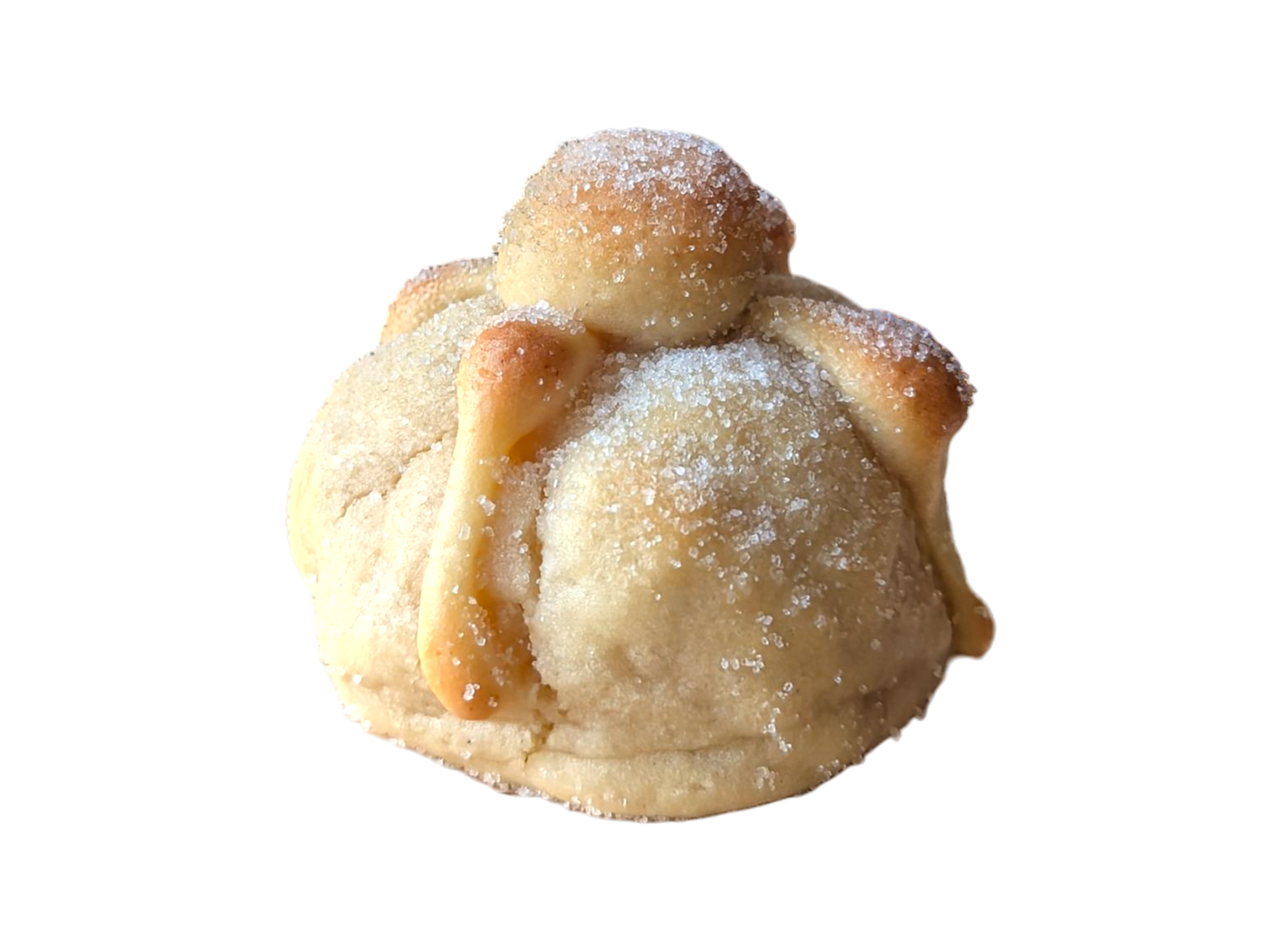 Pan de Muerto Cookie