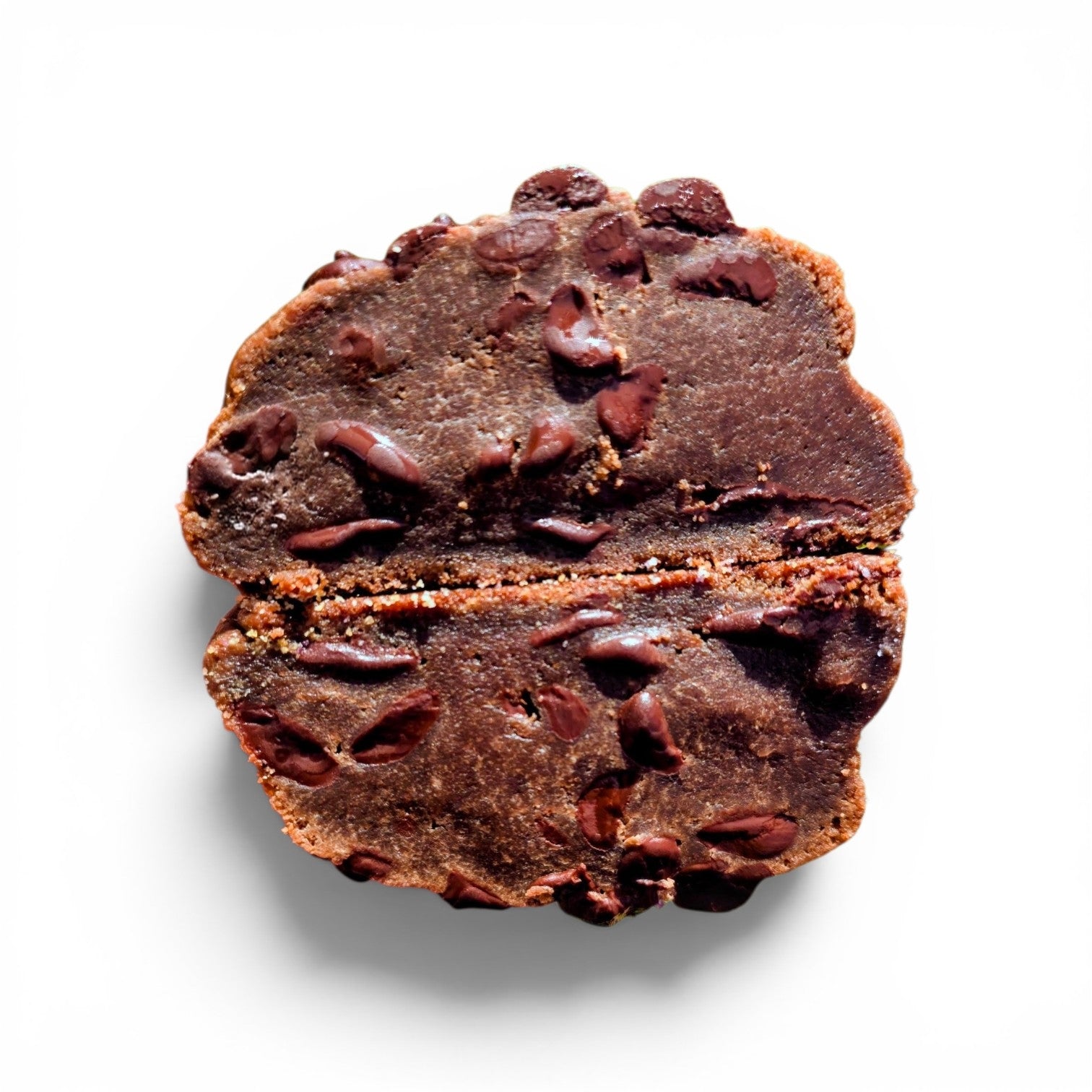 Double Chocolate Chip